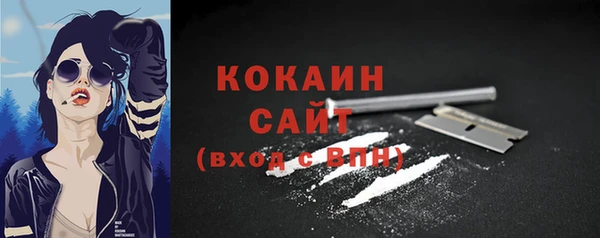 ГАЛЛЮЦИНОГЕННЫЕ ГРИБЫ Баксан