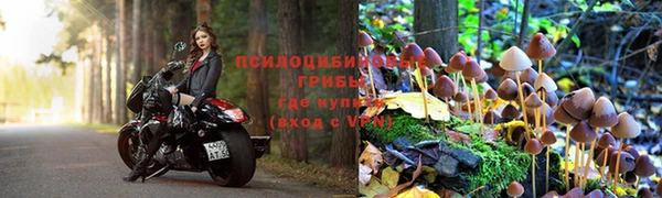 ГАЛЛЮЦИНОГЕННЫЕ ГРИБЫ Баксан