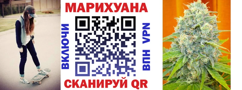 наркотики  Печора  Конопля сатива 